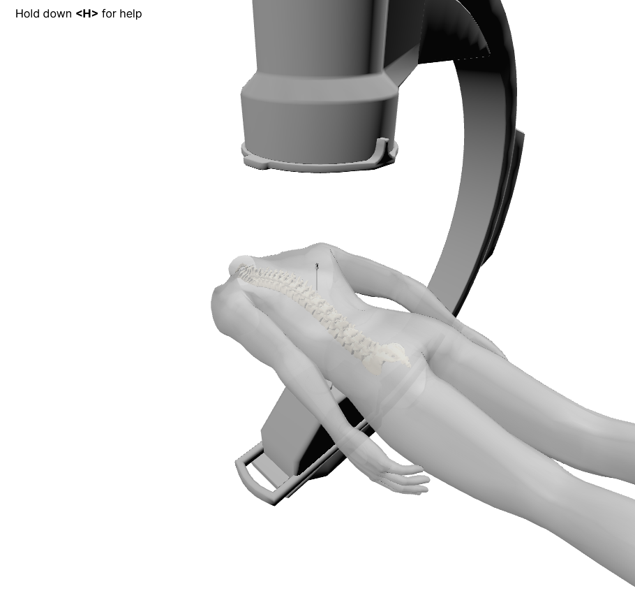 WebFluoro simulator preview
